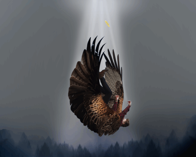 falling angel