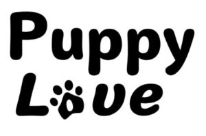 logo step3